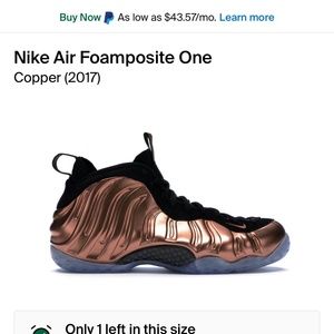 Nike Bronze Foamposites